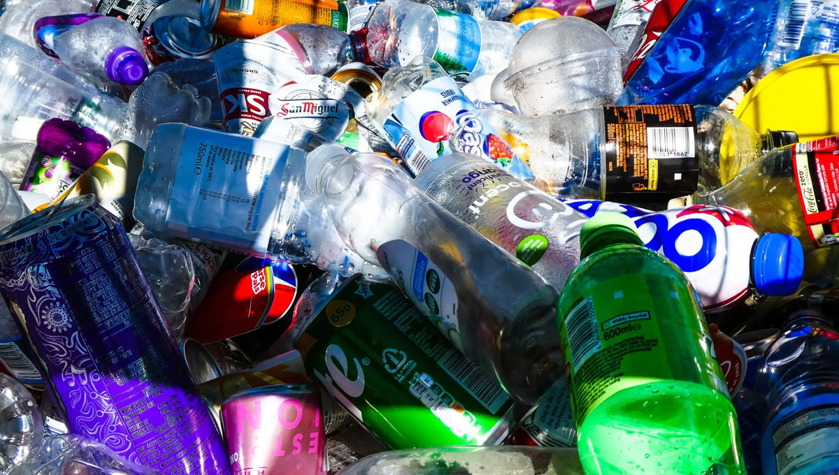 Lixo reciclável e não reciclável: saiba qual é qual e como fazer o descarte correto