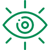 icone visão